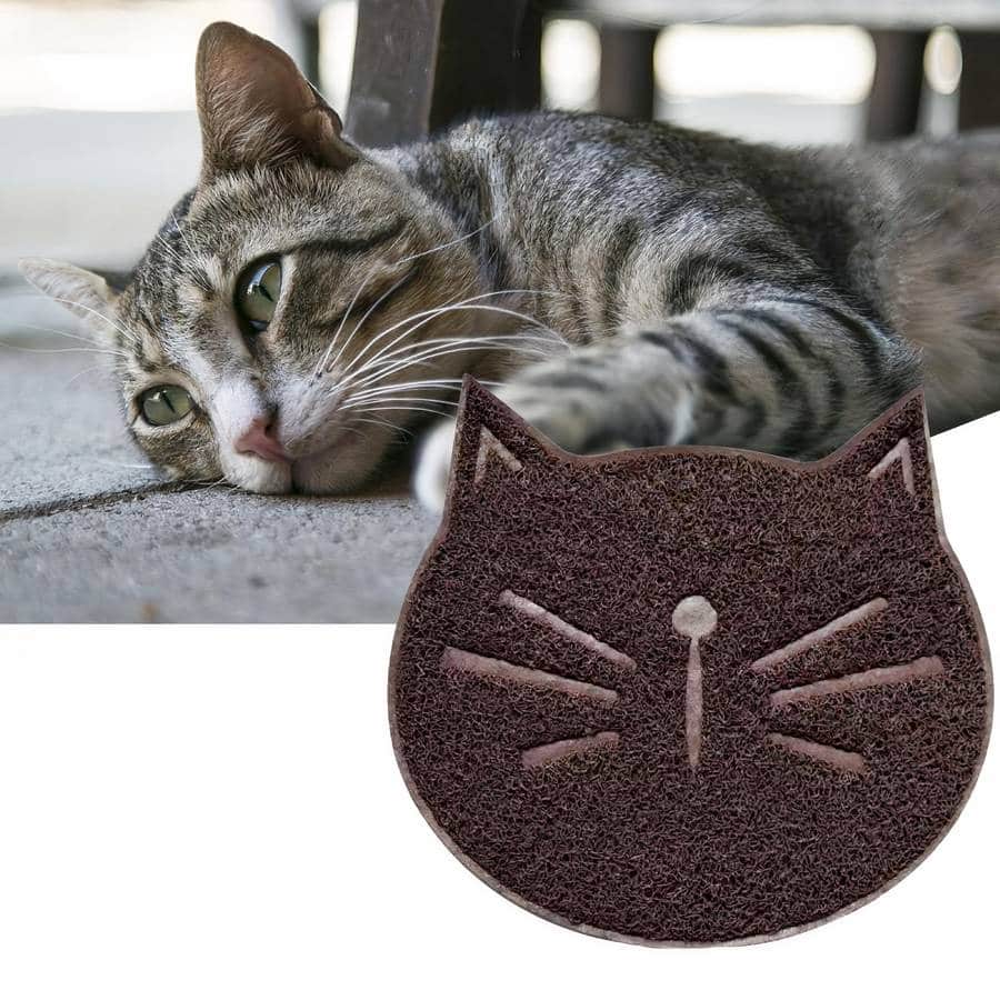 accessoire chat tapis tête