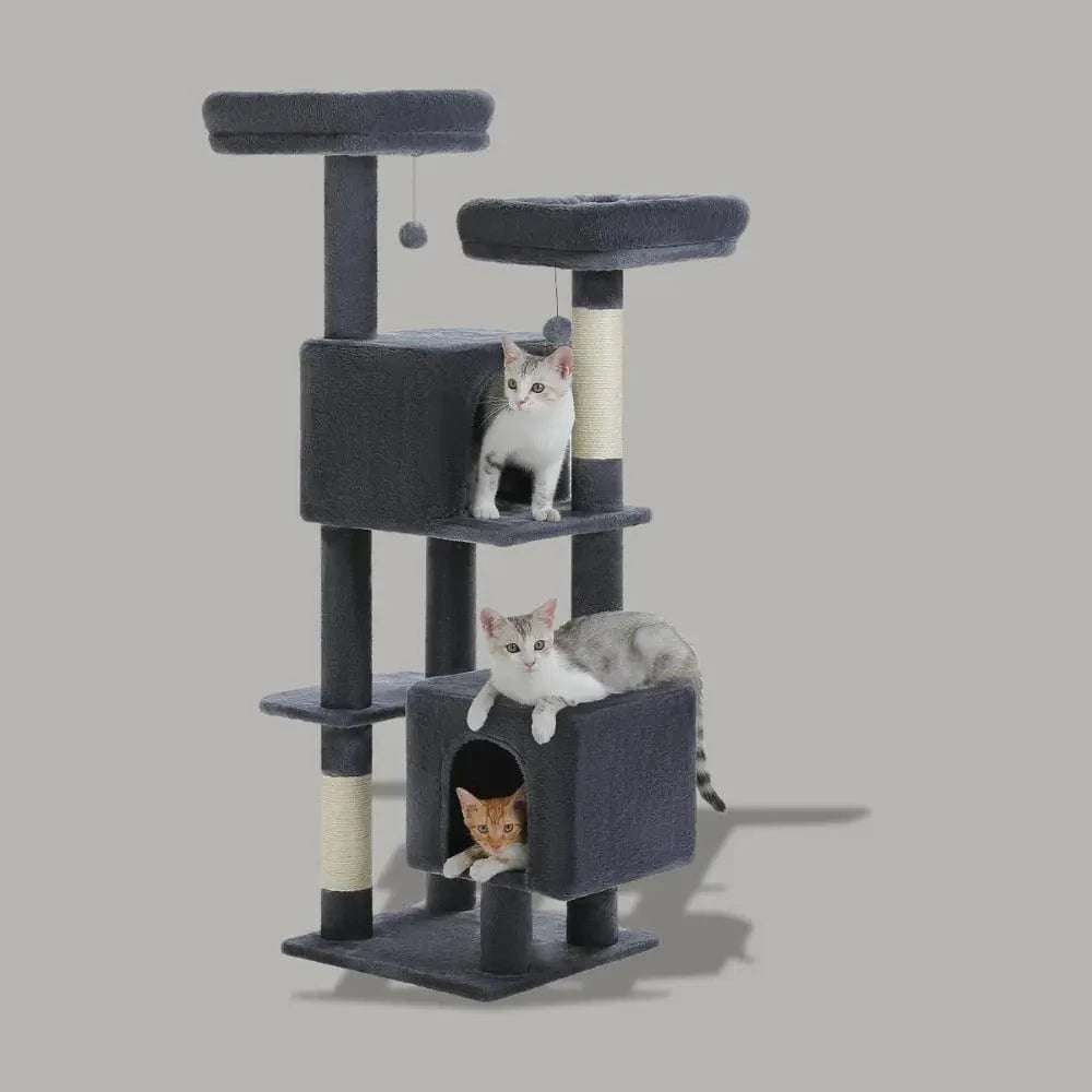 modèle cactus pour chat