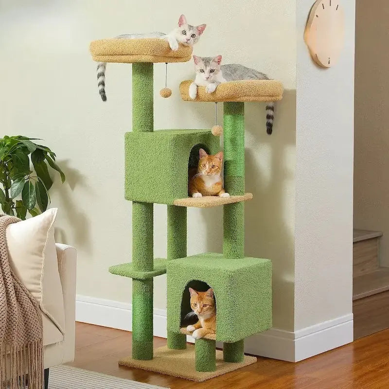 structure stable pour chat