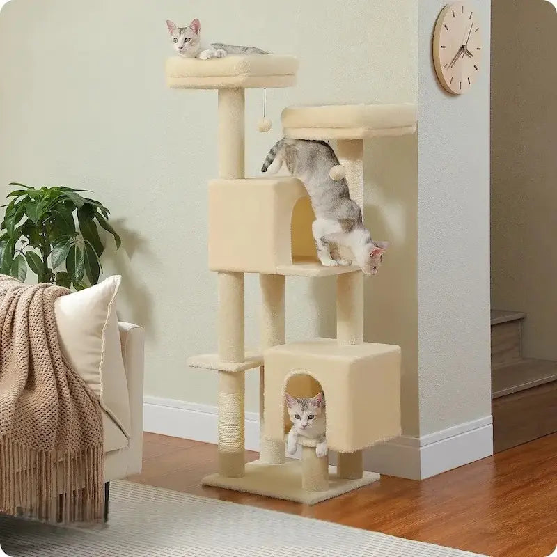 design élégant pour chat