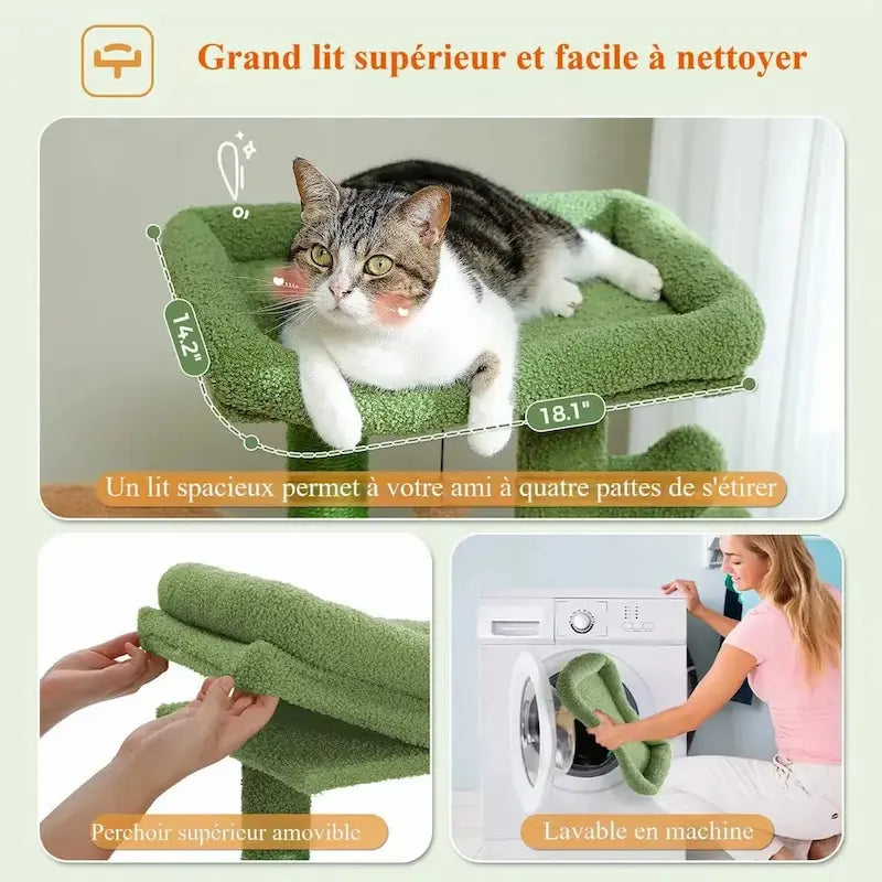design élégant pour chat