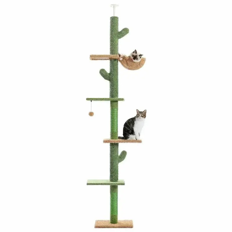 élément cactus chat
