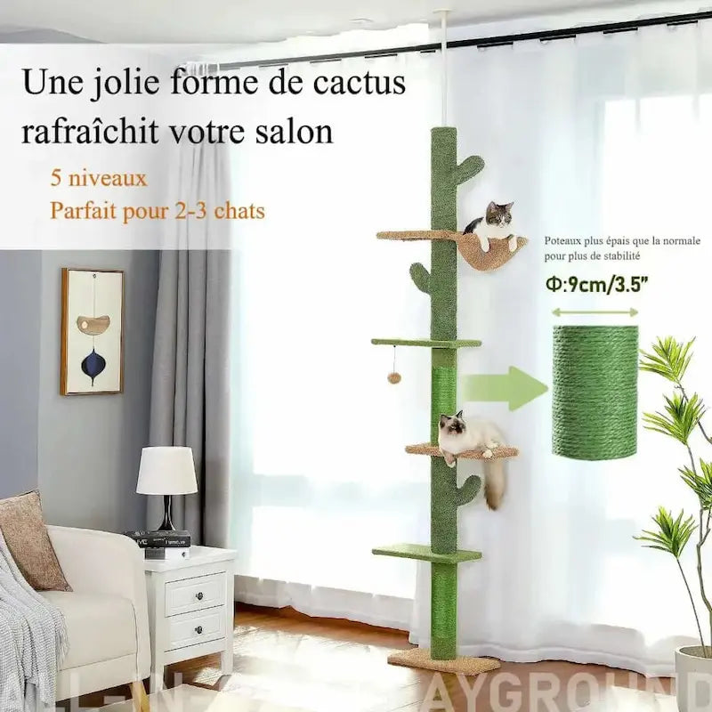 grande déco cactus chat