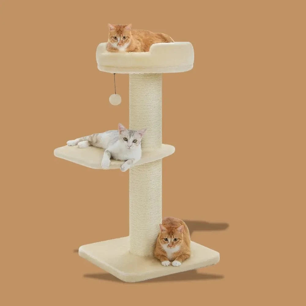 design moderne pour chat
