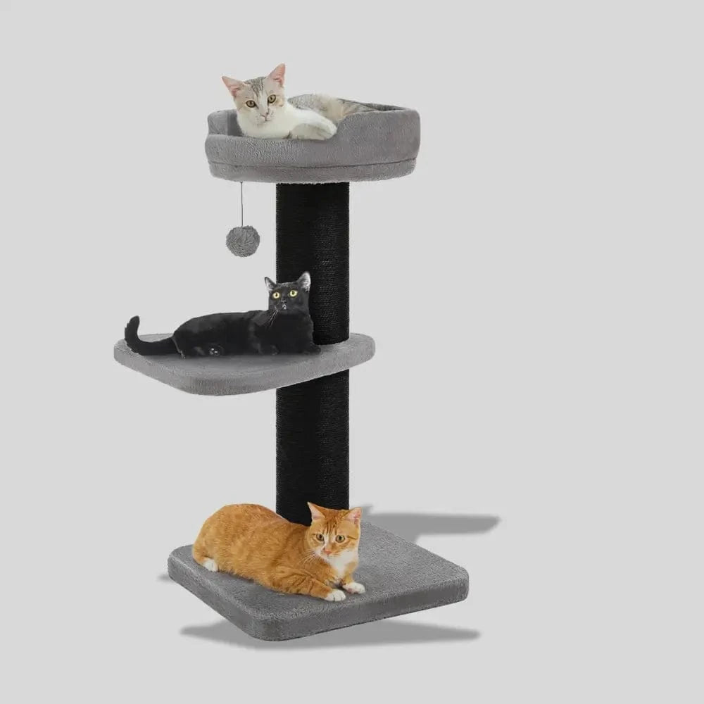 chat zen confort