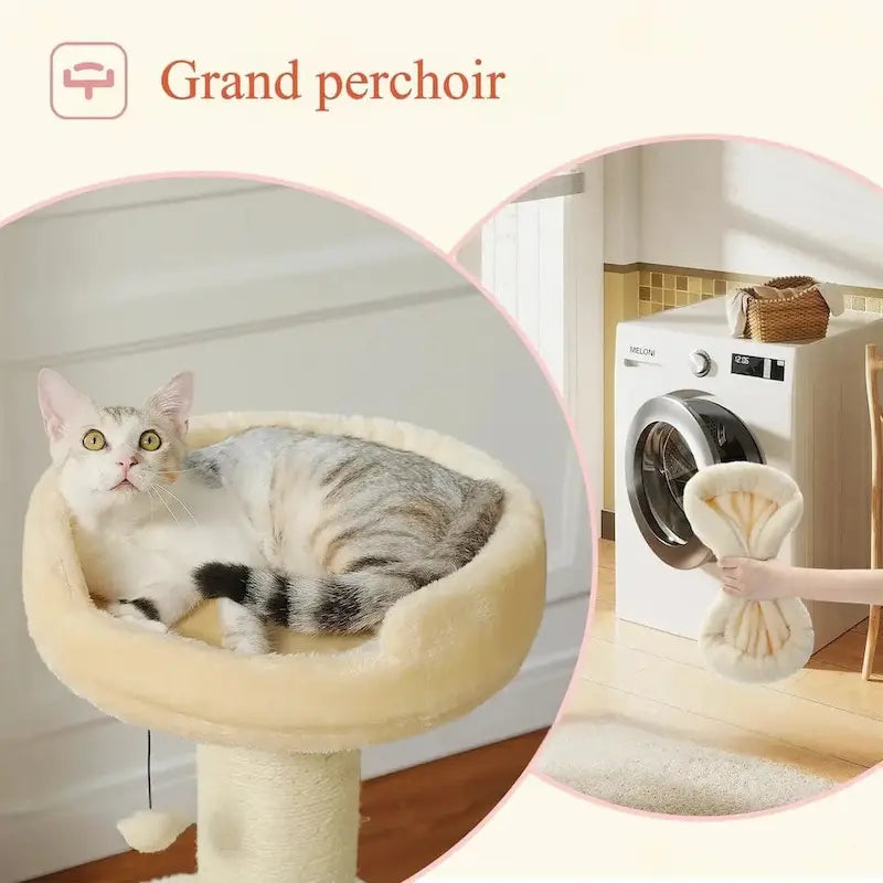 ChatZen pour chats actifs