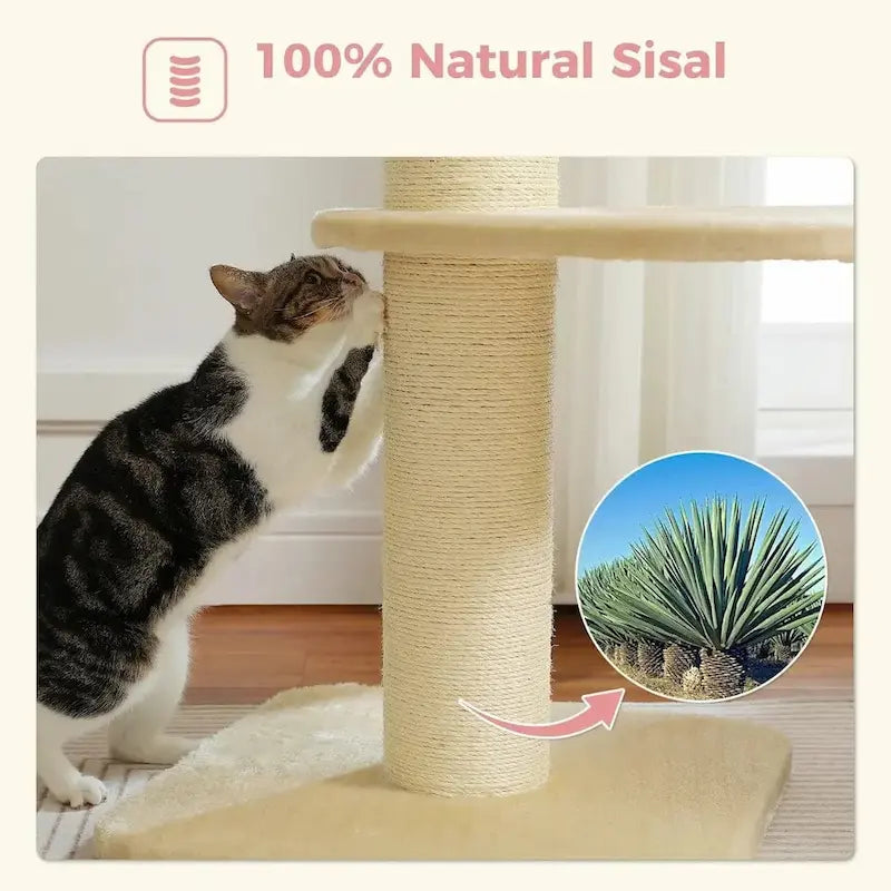 arbre à chat spacieux