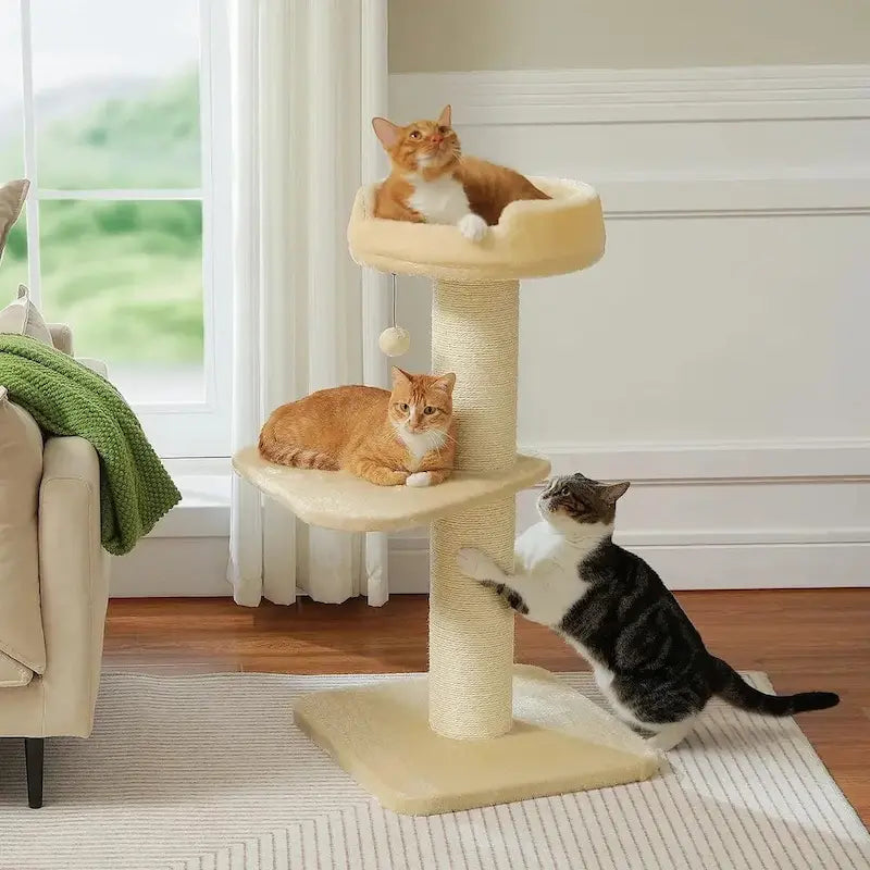 arbre à chat anti griffes