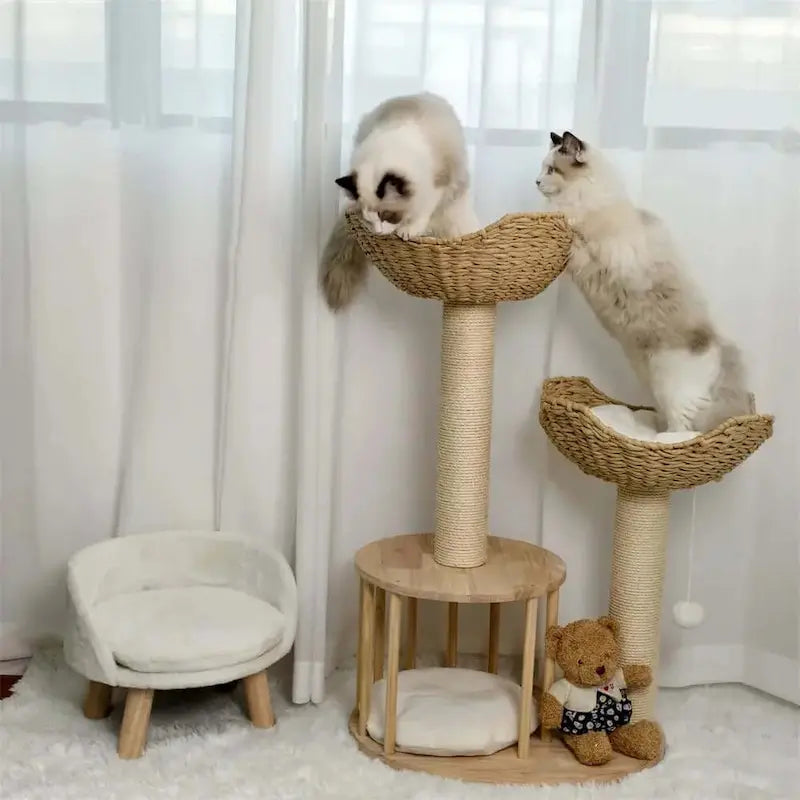 arbre à chat moderne