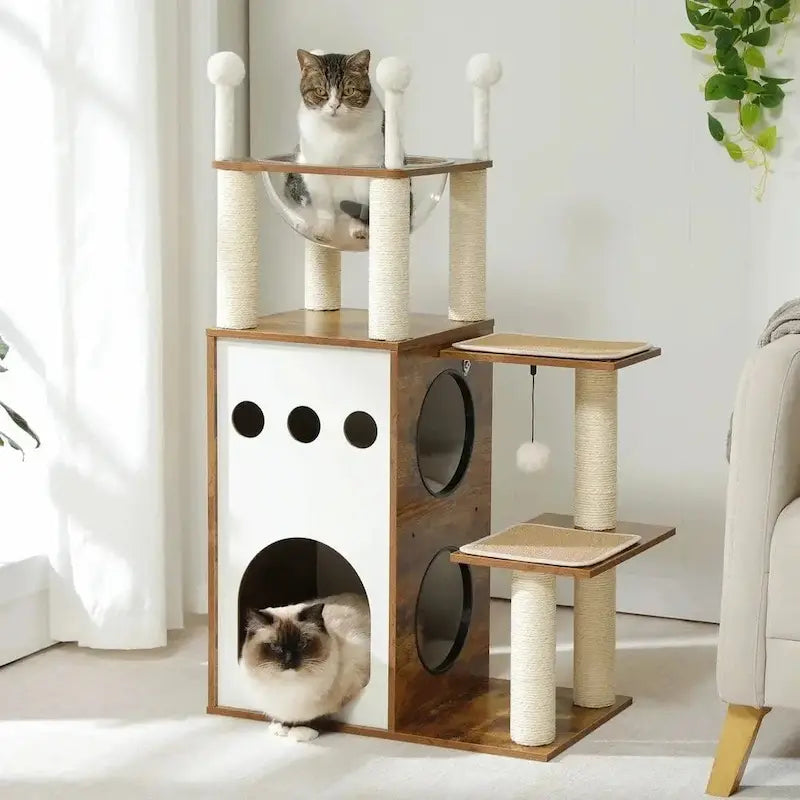 espace de jeu pour chat