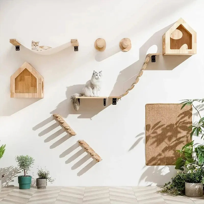 espace optimisé pour chat