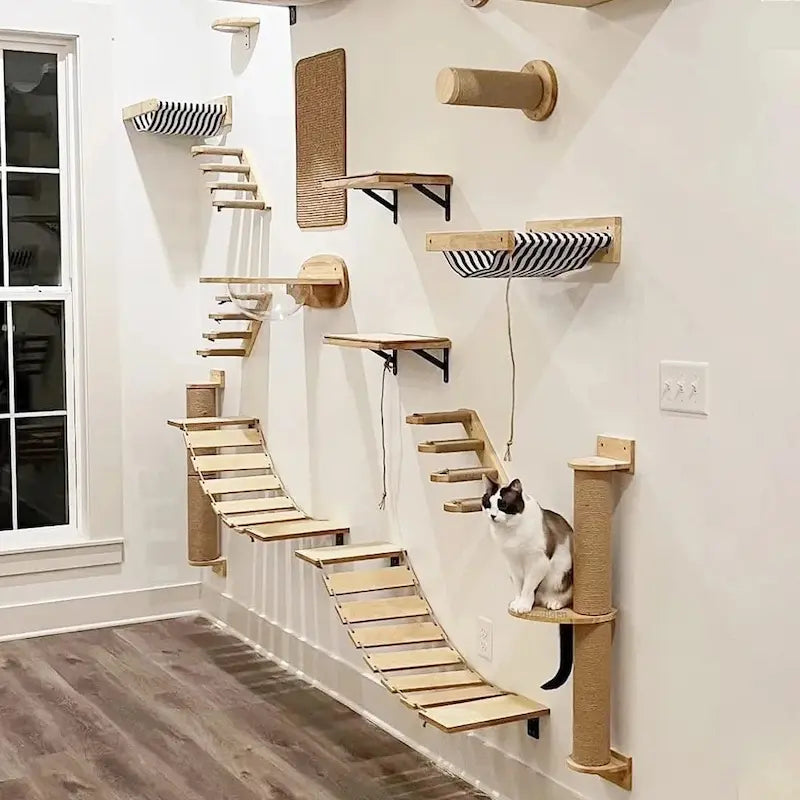 structure murale pour chat