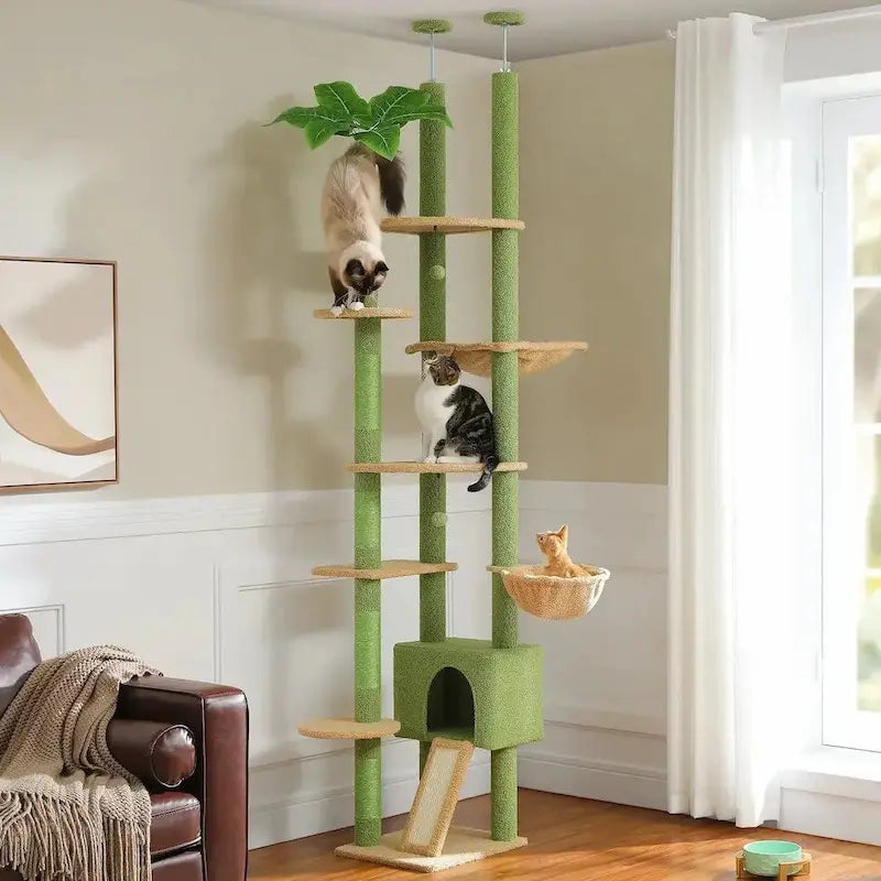 arbre à chat plafond gain de place