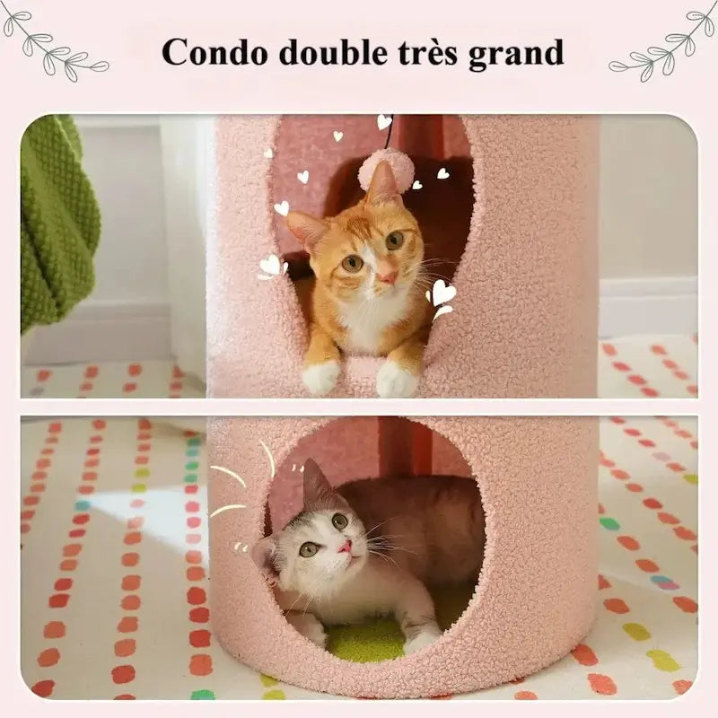 Pawbarrel élégant