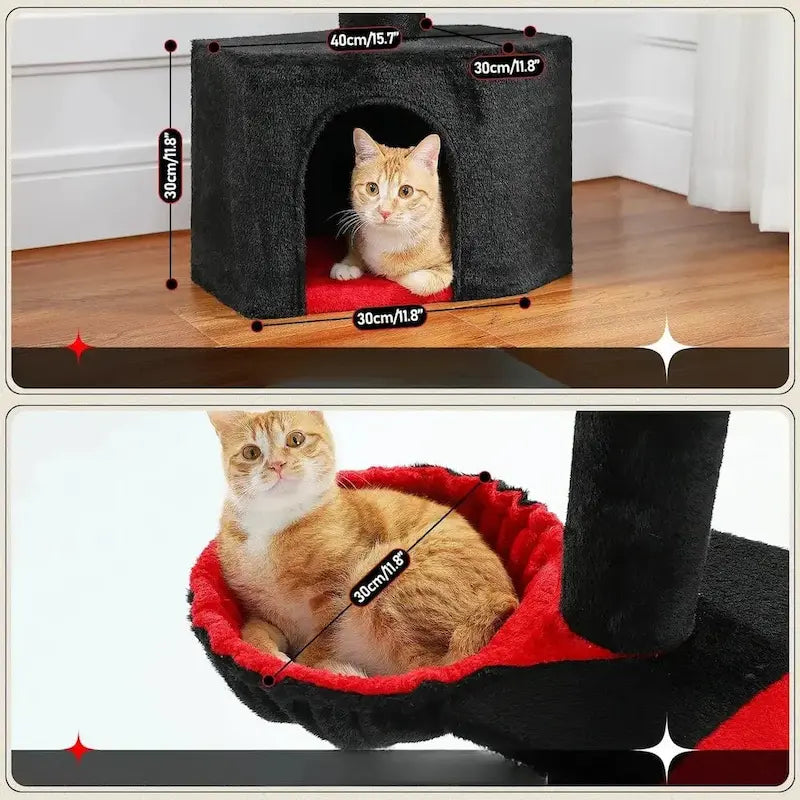 Felinoir pour chat