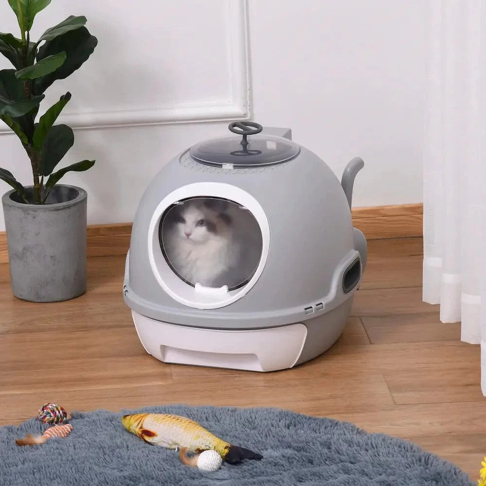 CleanBox propreté chat