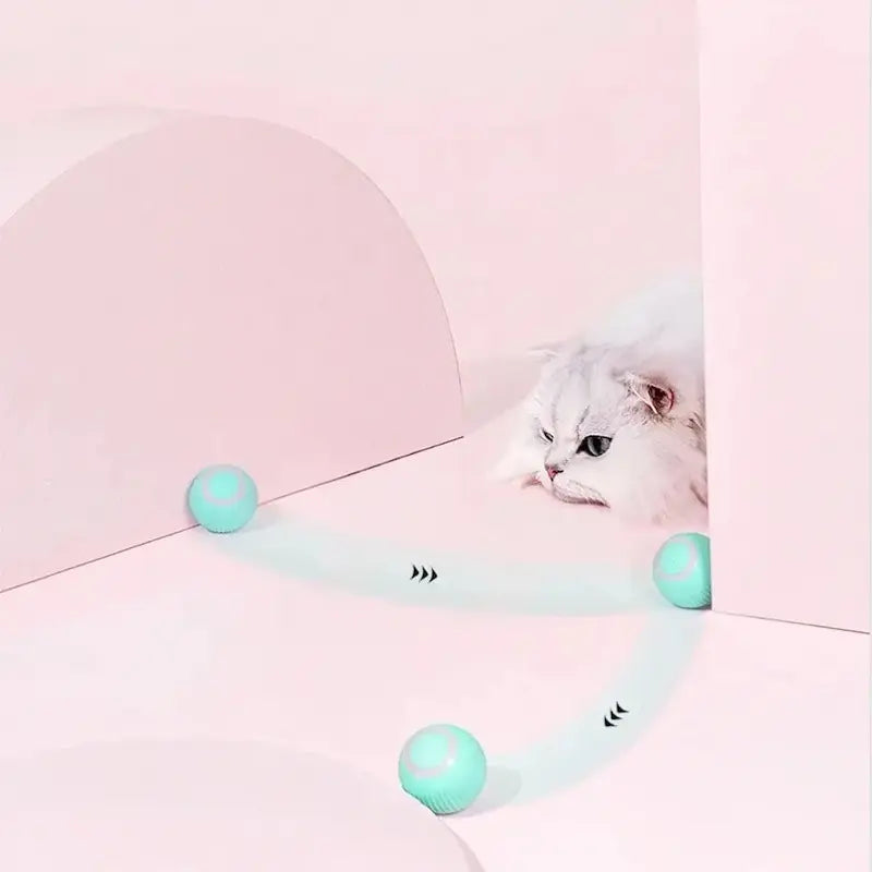 FéliPlay balle chat
