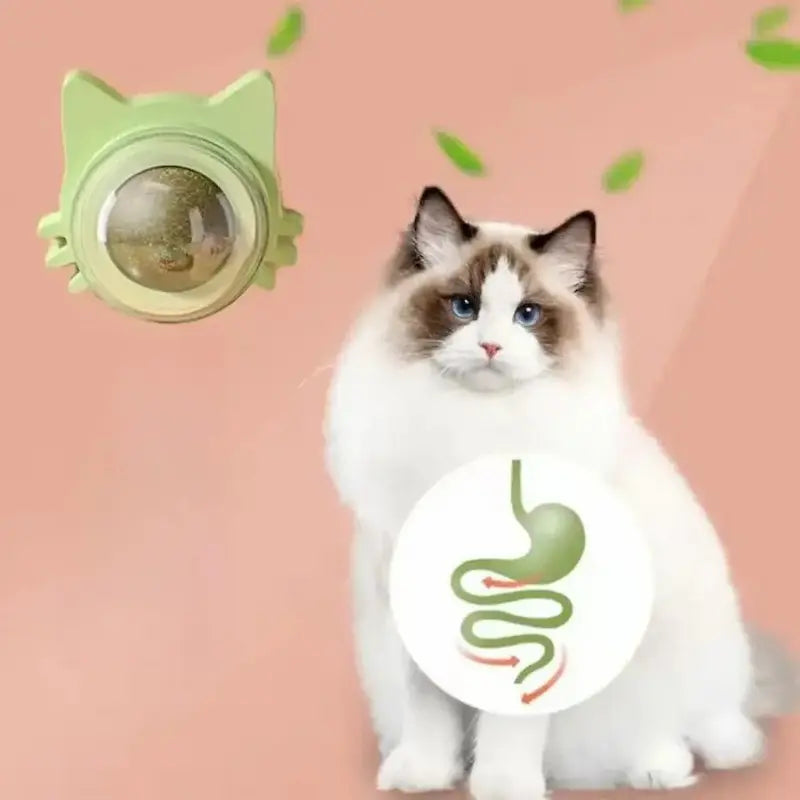 Boule murale herbe à chat