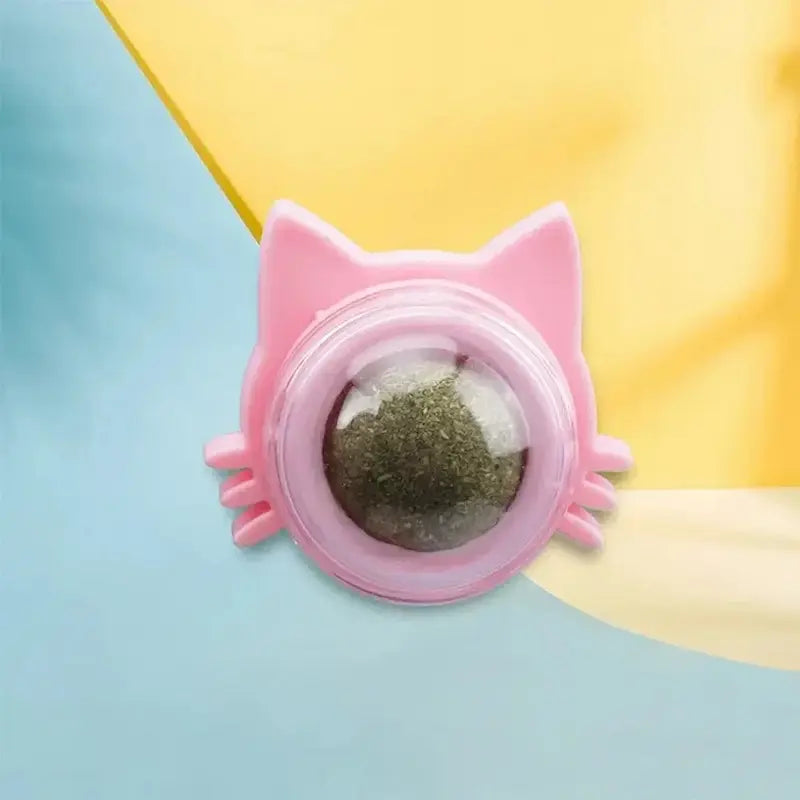 Accessoire chat mural