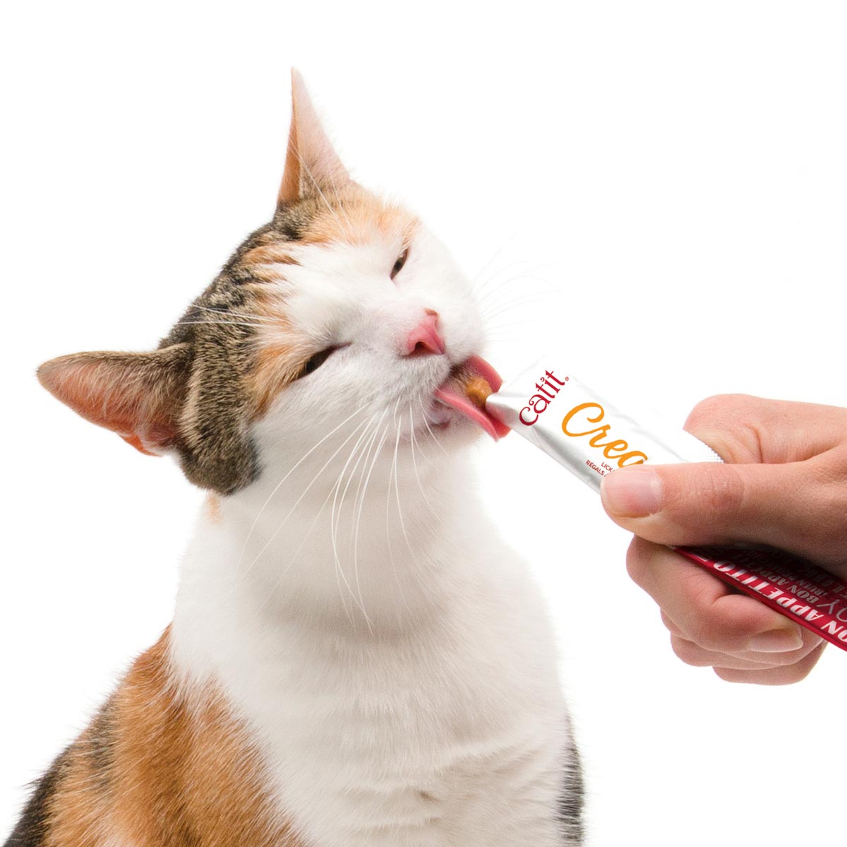 snacks pour félins ZenCatShop