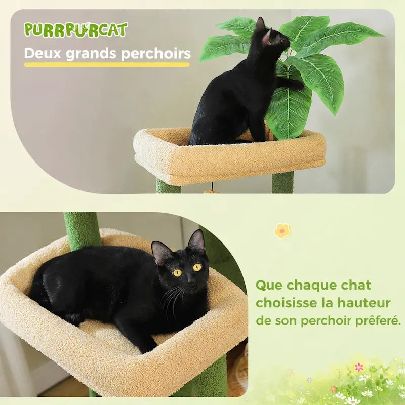 habitat parfait pour chats