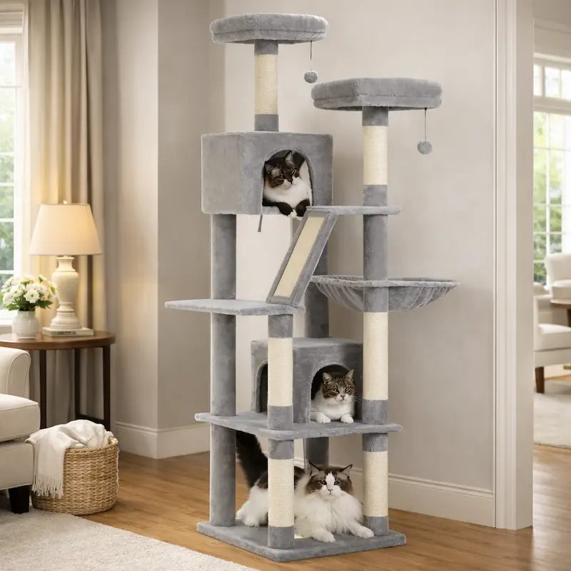 Stabilité arbre à chat