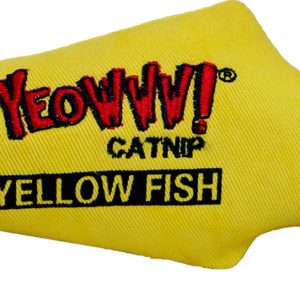 jouet poisson pour chats