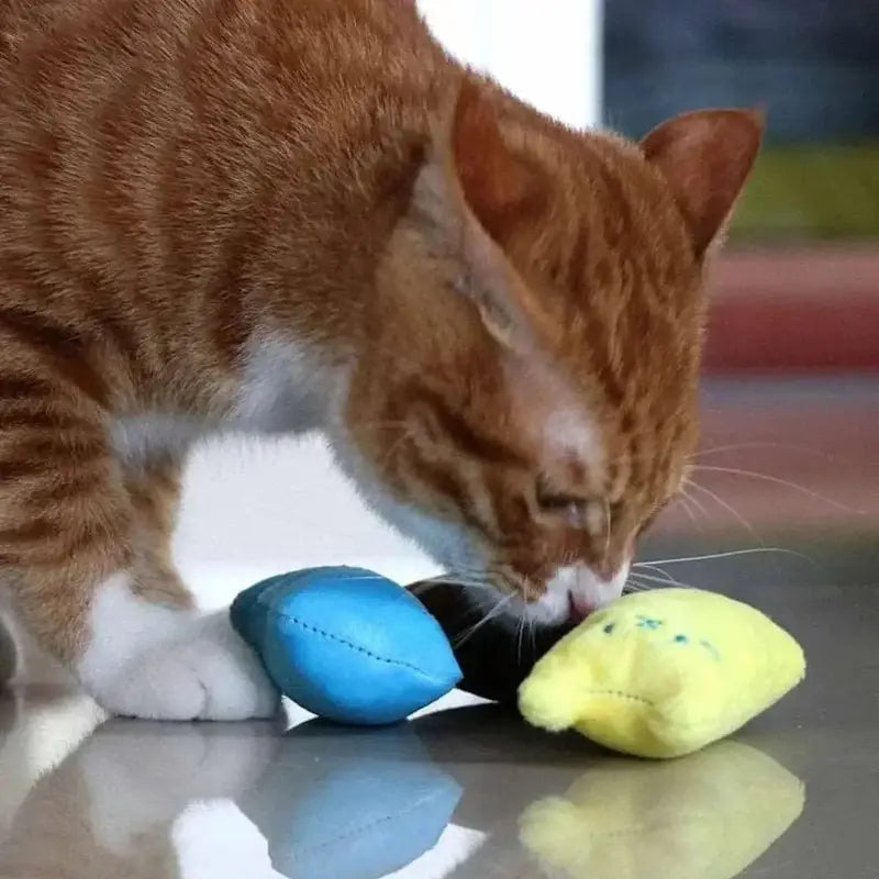 jouet relaxant pour chat
