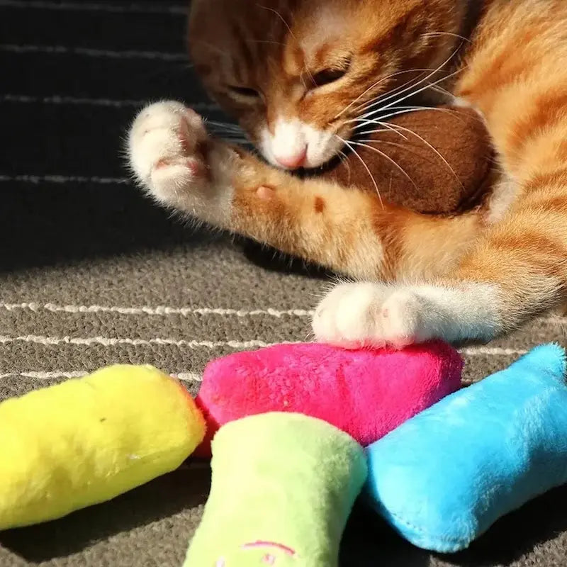 doudou pour chat câlin