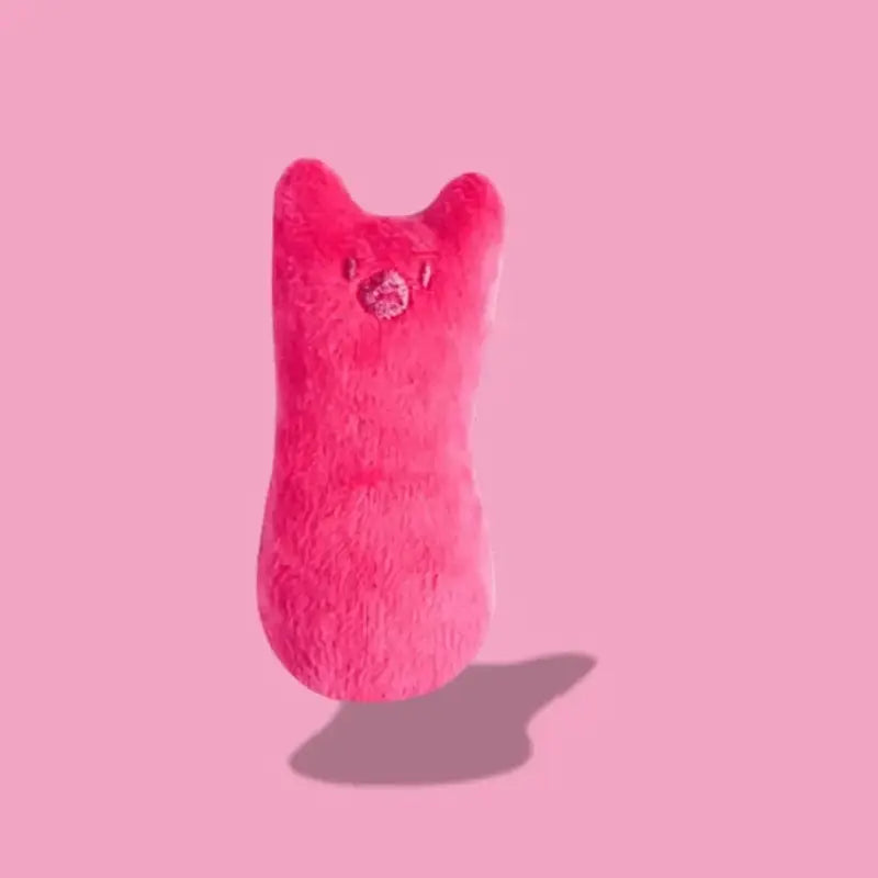 réconfort pour chat