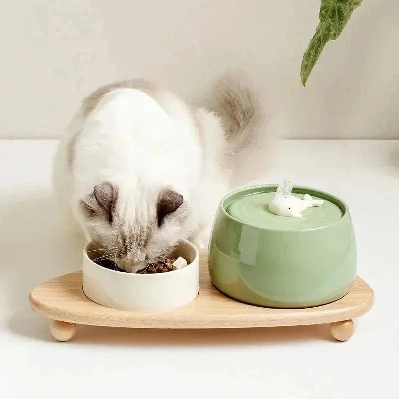 fontaine design pour chats