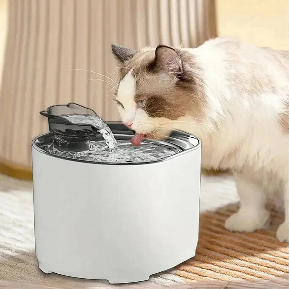 fontaine à eau chat 2L