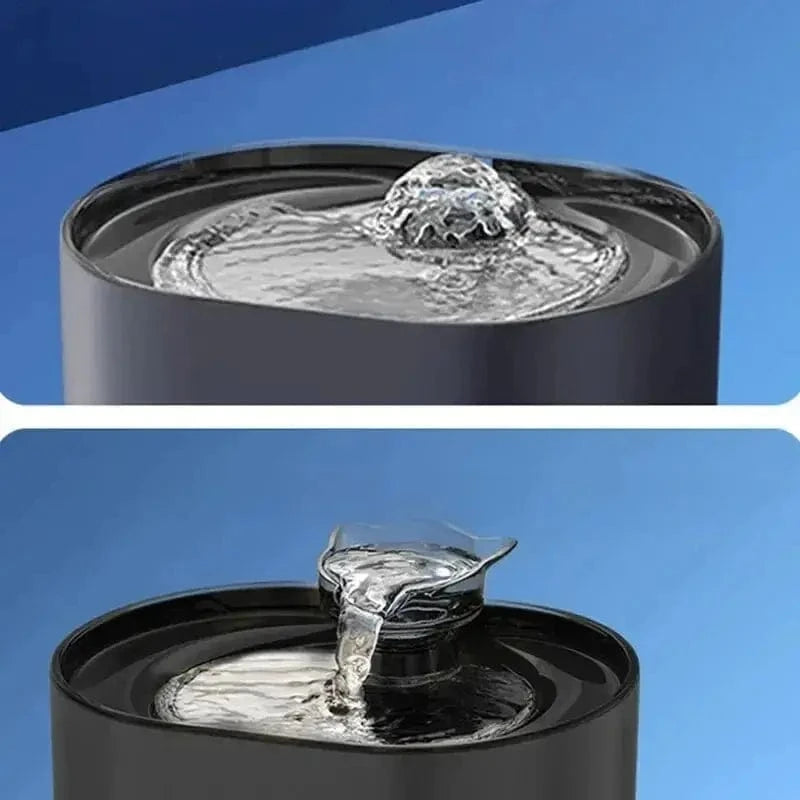 source d'eau fraîche pour chat