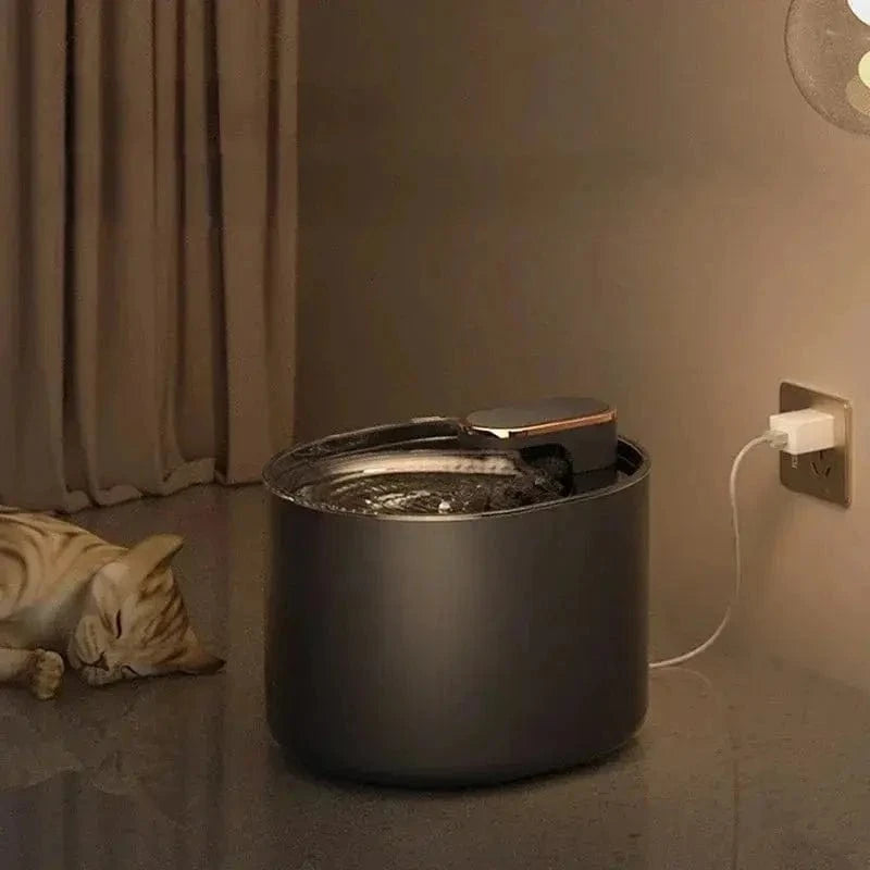 hydration féline 3L