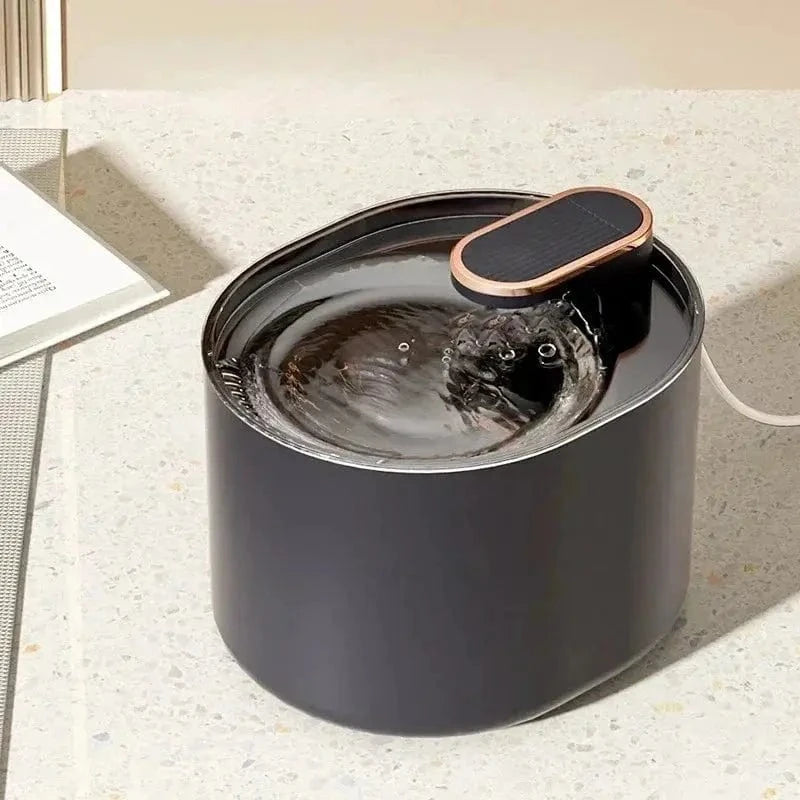 design moderne pour chat