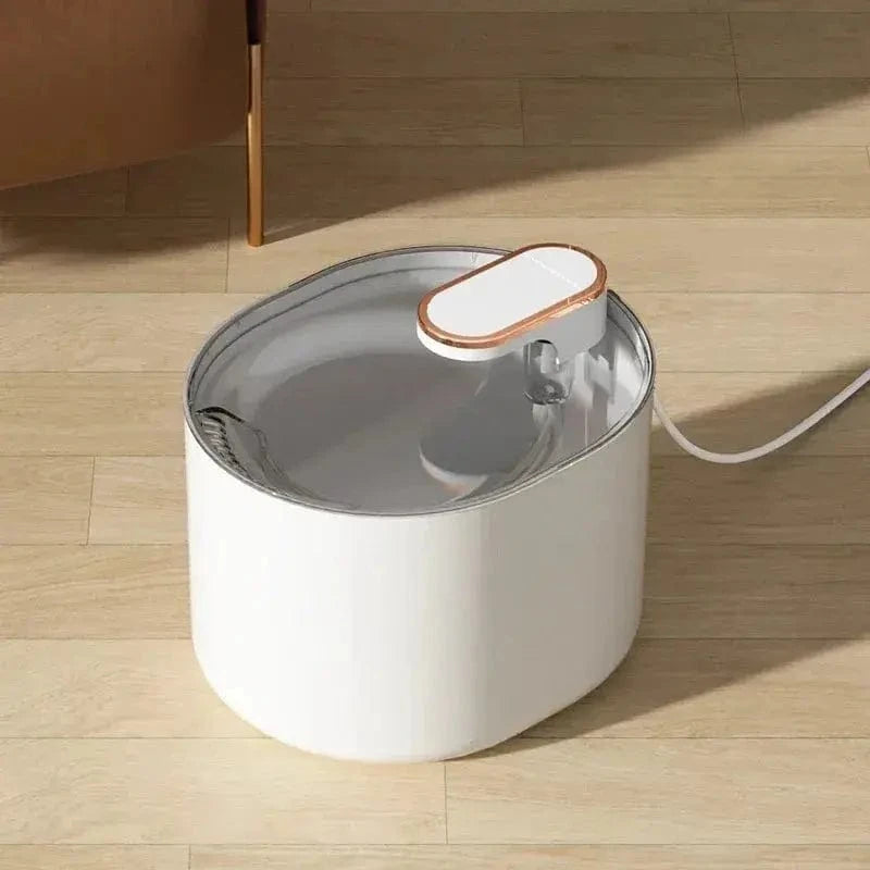 filtration avancée pour chat