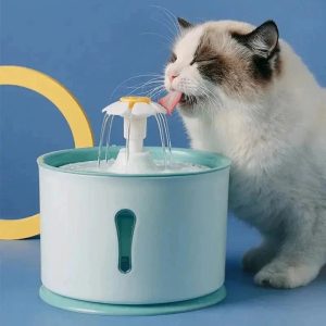 fontaine à eau chat fleur