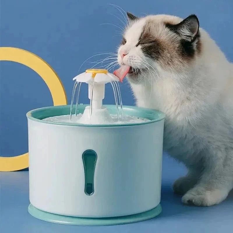 fontaine à eau chat fleur