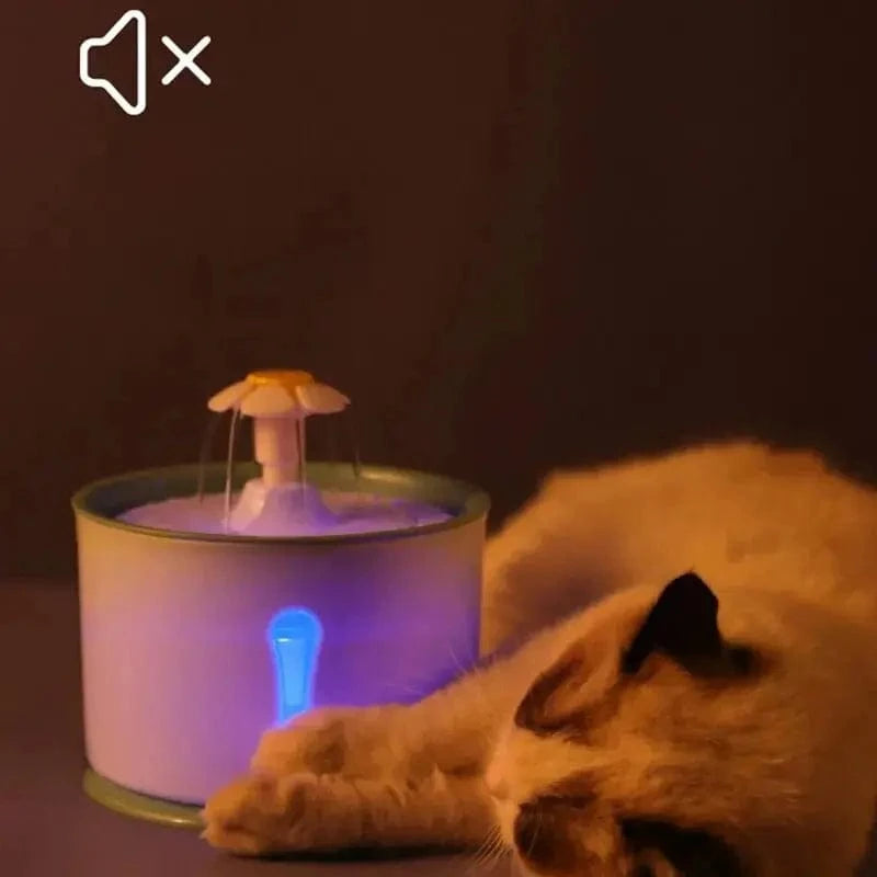 jet en pétale pour chat