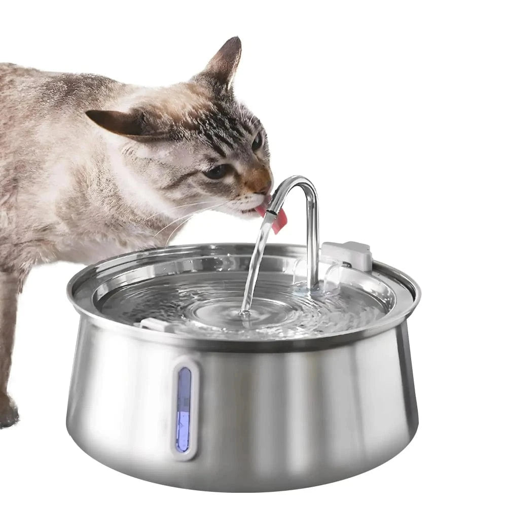 hydratation chat 4L