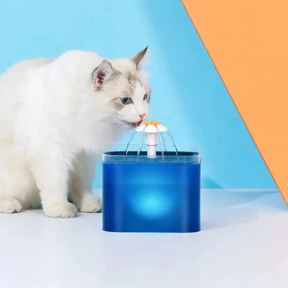 fontaine à eau chat LED
