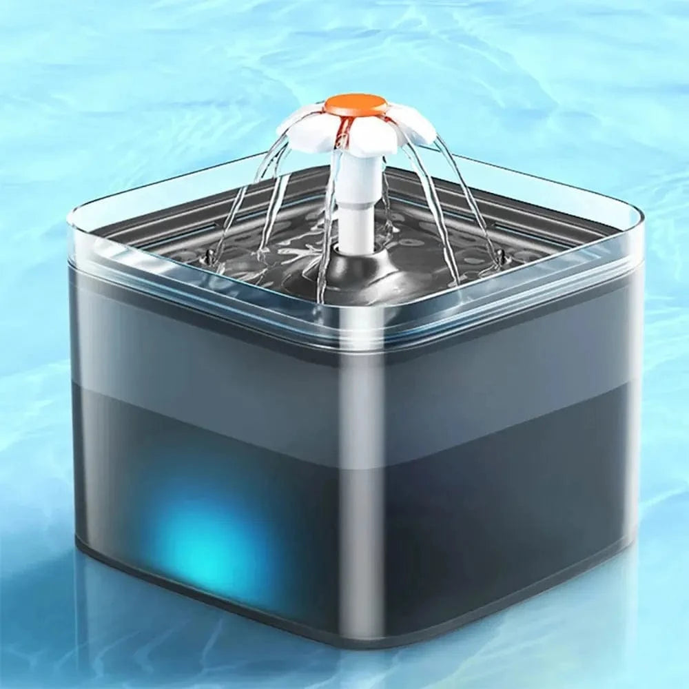 éclairage LED fontaine chat