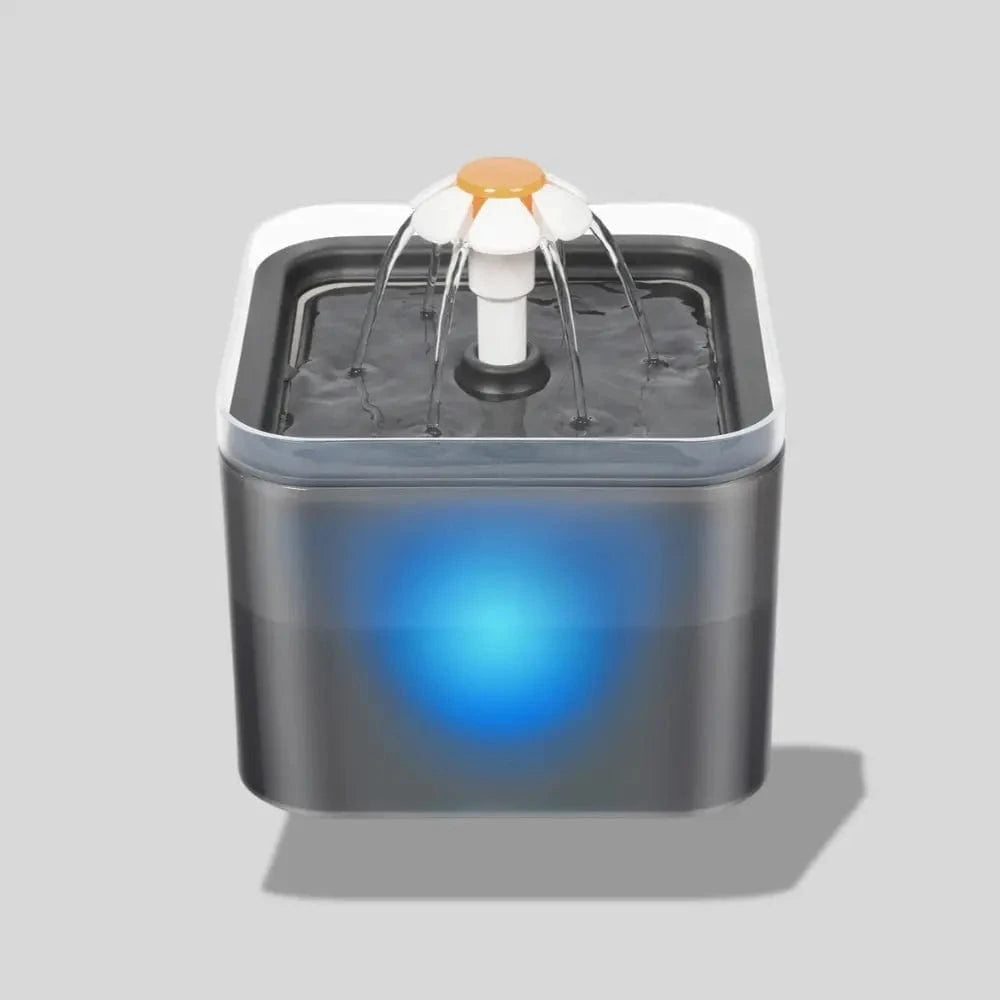 hydratation chat fontaine LED