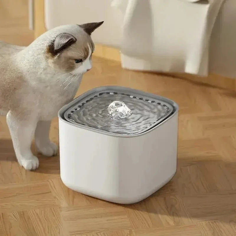 fontaine silencieuse pour chat