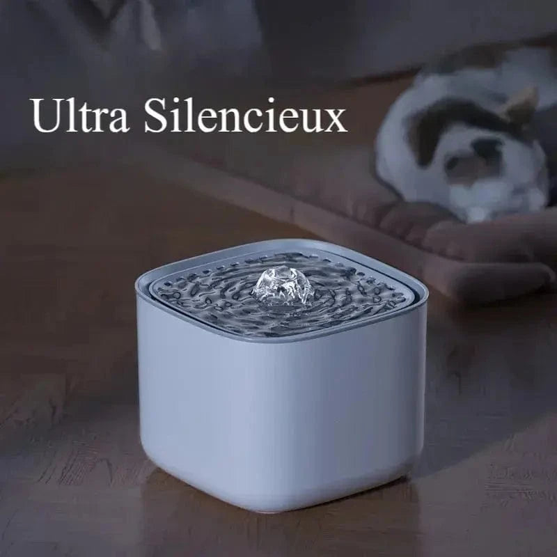 eau pure pour chats
