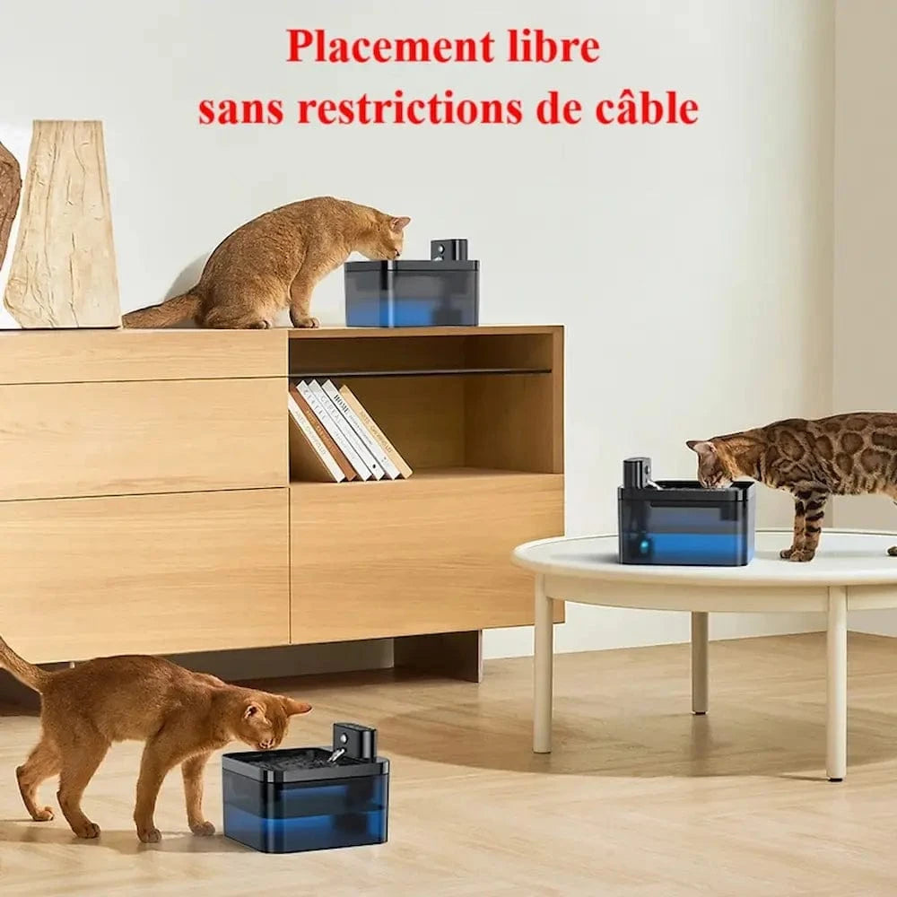 design moderne de fontaine à chat
