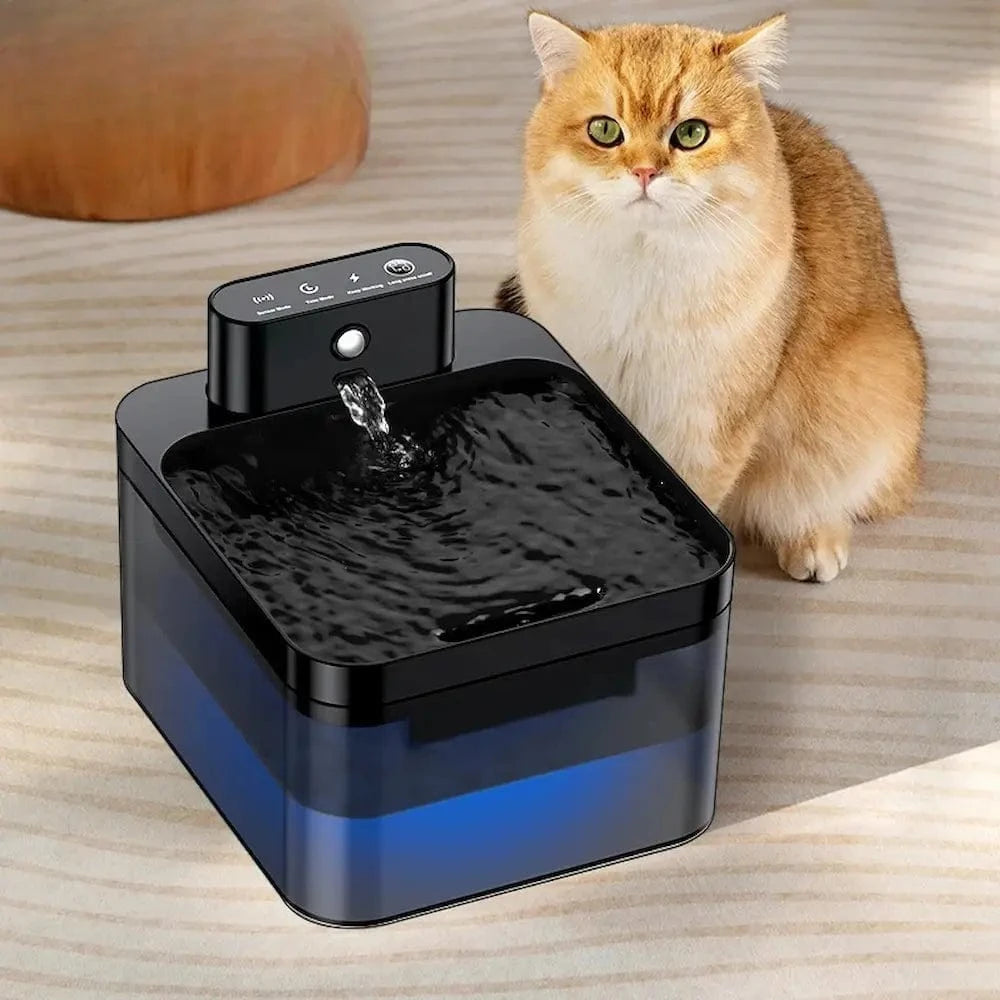 fontaine à eau chat sans fil