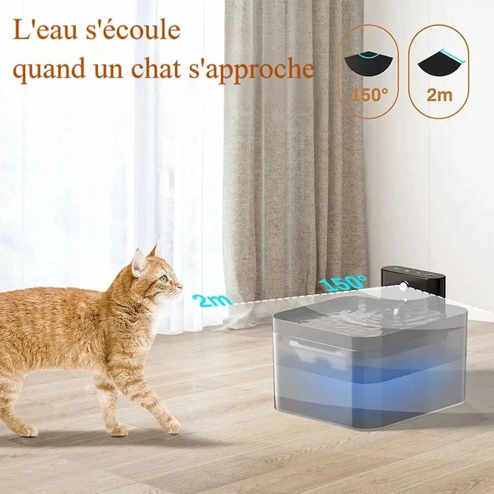 liberté totale pour chats