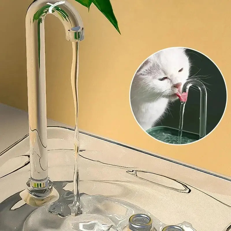 design transparent fontaine eau chat