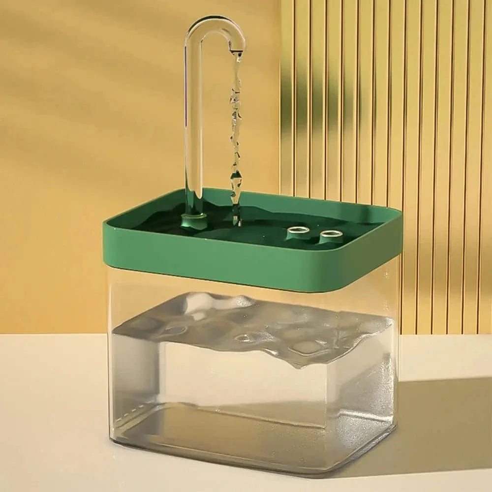 circulation continue eau chat